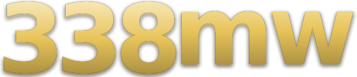 338mw logo